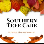 img/southerntreecare.png