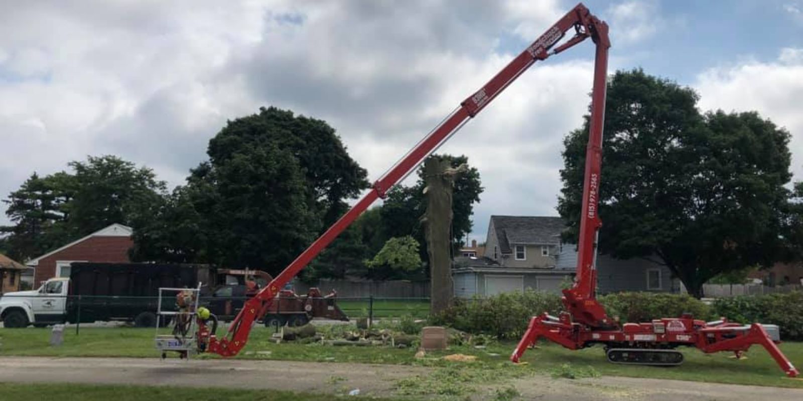 tree cutting durham